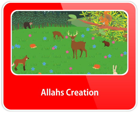 Allahs Creation