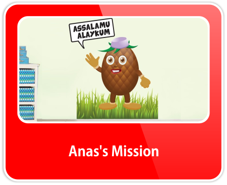 Anas's Mission